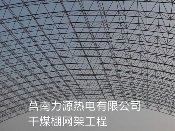 崇明力源热电有限公司干煤棚网架工程